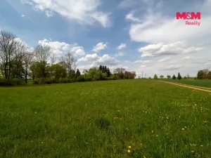 Prodej pozemku pro bydlení, Břežany, 8048 m2