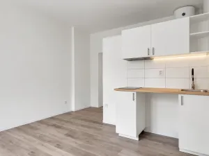 Prodej bytu 1+kk, Praha - Záběhlice, 19 m2
