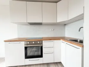 Pronájem bytu 1+1, Praha, U první baterie, 28 m2