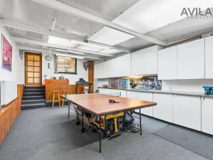 Prodej rodinného domu, Říčany, Kozinova, 300 m2