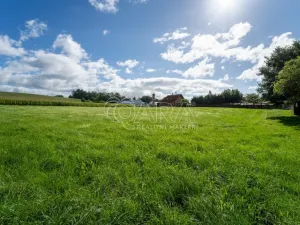 Prodej pozemku pro bydlení, Vlčice, 2602 m2