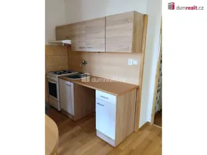 Pronájem bytu 1+1, Dobřany, Loudů, 41 m2