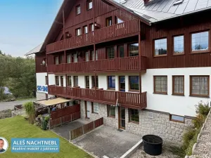 Pronájem bytu 1+kk, Albrechtice v Jizerských horách, 30 m2