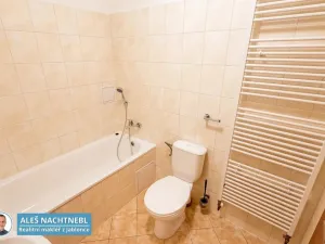 Pronájem bytu 1+kk, Albrechtice v Jizerských horách, 30 m2