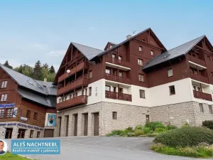Pronájem bytu 1+kk, Albrechtice v Jizerských horách, 30 m2