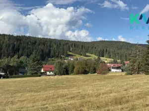 Prodej louky, Pernink, 25316 m2