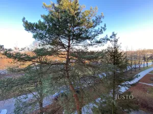 Pronájem bytu 2+1, Frýdek-Místek - Místek, 28. října, 54 m2