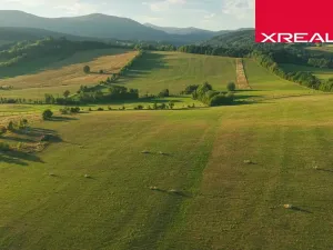 Prodej komerčního pozemku, Mladé Buky, 114943 m2