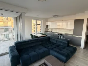 Pronájem bytu 2+kk, Ostrava - Moravská Ostrava, F. X. Riepla, 60 m2