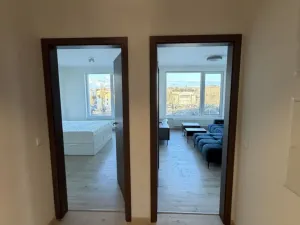 Pronájem bytu 2+kk, Ostrava - Moravská Ostrava, F. X. Riepla, 60 m2