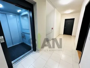 Pronájem bytu 2+kk, Ostrava - Moravská Ostrava, F. X. Riepla, 60 m2