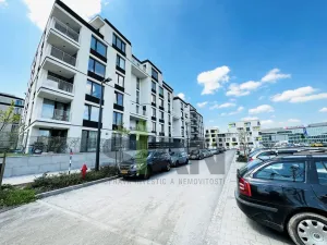 Pronájem bytu 2+kk, Ostrava - Moravská Ostrava, F. X. Riepla, 60 m2