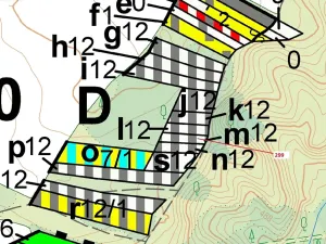 Dražba lesa, Jaroměřice nad Rokytnou, 482 m2