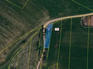 Dražba lesa, Vladislav, 381 m2