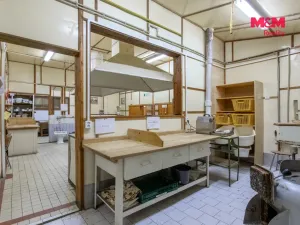 Prodej komerční nemovitosti, Bezdružice - Křivce, 1300 m2