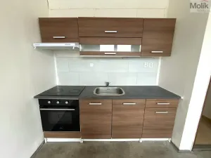 Pronájem bytu 1+1, Chlumec - Hrbovice, Hrbovická, 34 m2