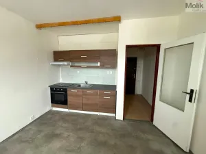 Pronájem bytu 1+1, Chlumec - Hrbovice, Hrbovická, 34 m2