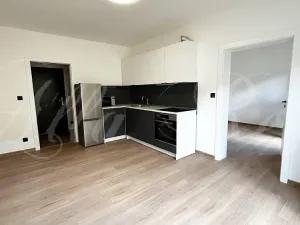 Pronájem bytu 2+kk, Brno - Zábrdovice, Bratislavská, 55 m2