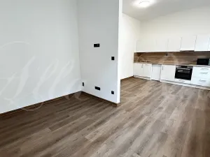 Pronájem bytu 2+kk, Brno - Zábrdovice, Bratislavská, 50 m2