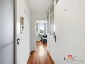 Prodej bytu 1+kk, Praha - Karlín, Molákova, 30 m2