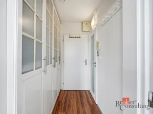 Prodej bytu 1+kk, Praha - Karlín, Molákova, 30 m2