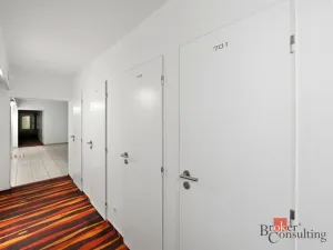 Prodej bytu 1+kk, Praha - Karlín, Molákova, 30 m2