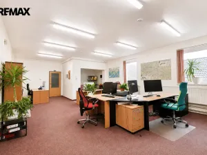 Pronájem rodinného domu, Třebechovice pod Orebem, Týnišťská, 160 m2