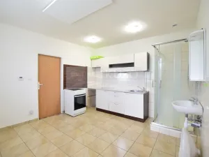 Pronájem bytu 1+1, Plzeň, K Papírně, 37 m2