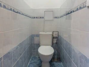 Prodej bytu 2+kk, Milovice - Mladá, Slepá, 46 m2