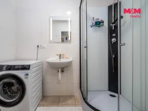 Prodej bytu 3+kk, Brandýs nad Labem-Stará Boleslav - Brandýs nad Labem, Kaštanová, 67 m2