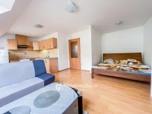 Prodej bytu 1+kk, Znojmo - Oblekovice, Oblekovická, 40 m2