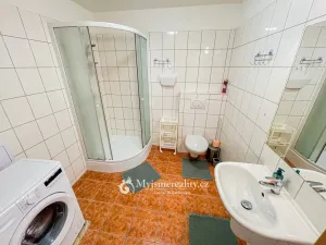 Prodej bytu 1+kk, Znojmo - Oblekovice, Oblekovická, 40 m2