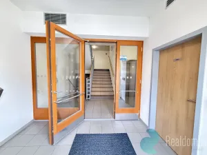 Pronájem bytu 2+kk, České Budějovice, U Lučního jezu, 57 m2