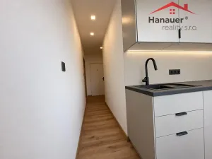 Prodej bytu 2+1, Ústí nad Labem - Střekov, Nová, 64 m2