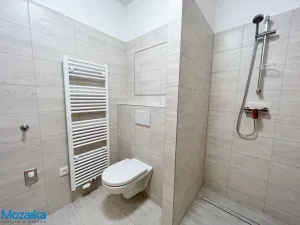 Pronájem bytu 1+kk, Lanškroun - Žichlínské Předměstí, Na Slovanech, 29 m2