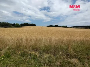 Prodej pozemku pro bydlení, Stará Ves nad Ondřejnicí, Brušperská, 1600 m2
