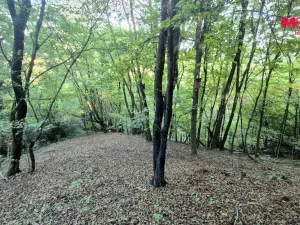 Prodej chaty, Zbečno - Újezd nad Zbečnem, 33 m2