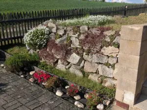 Prodej chalupy, Cheb - Skalka, 48 m2