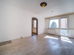 Prodej bytu 3+1, České Budějovice - České Budějovice 2, Netolická, 67 m2