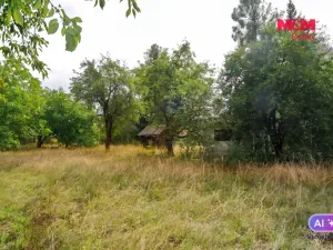 Prodej pozemku pro bydlení, Družec, 2828 m2