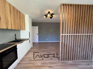 Pronájem bytu 2+kk, Ostrava, Proskovická, 42 m2