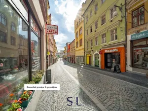 Pronájem obchodního prostoru, Liberec, Pražská, 339 m2