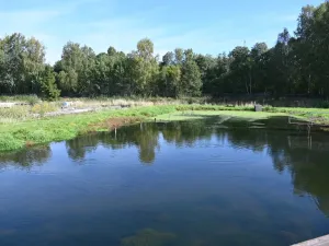 Prodej komerční nemovitosti, Lomnice - Tylov, 5700 m2