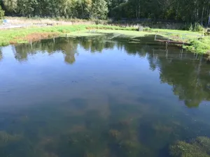 Prodej komerční nemovitosti, Lomnice - Tylov, 5700 m2