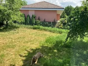 Dražba rodinného domu, Hrádek, 100 m2