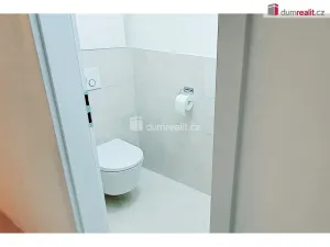 Pronájem bytu 3+kk, Plzeň - Východní Předměstí, Truhlářská, 88 m2