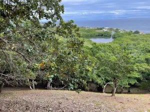 Prodej pozemku, Jonesville, Honduras, 500 m2