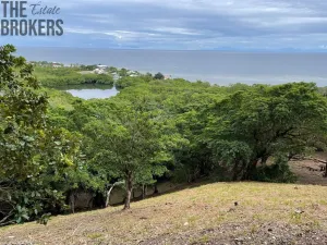 Prodej pozemku, Jonesville, Honduras, 500 m2