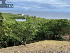 Prodej pozemku, Jonesville, Honduras, 500 m2