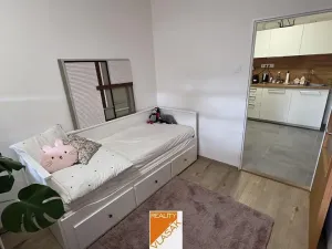 Pronájem bytu 2+1, Kadaň, Mírové náměstí, 109 m2